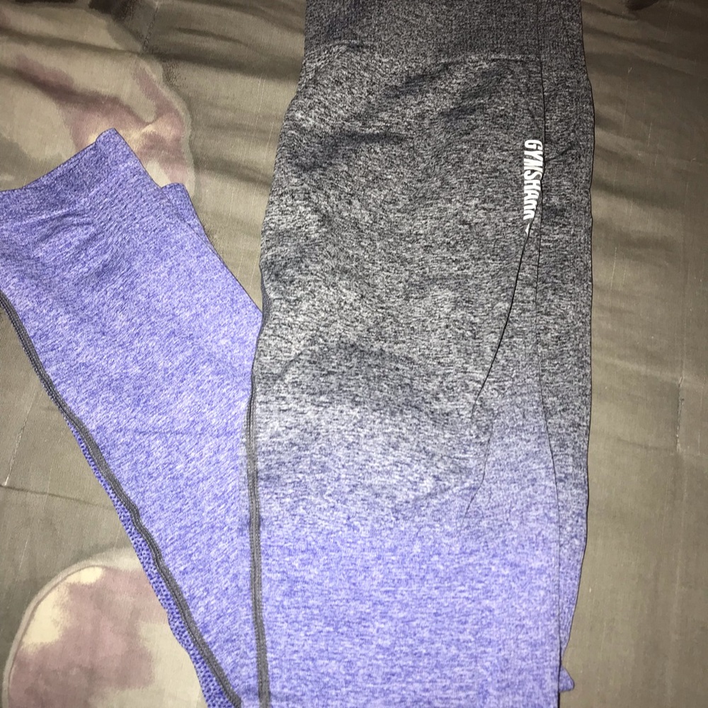 Gym shark Leggings